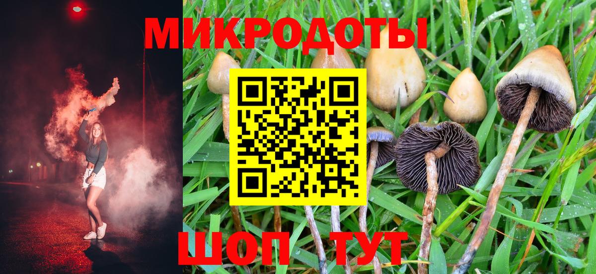 Галлюциногенные грибы GOLDEN TEACHER  Вход с VPN  Клинцы  Псилоцибиновые грибы Magic Shrooms 